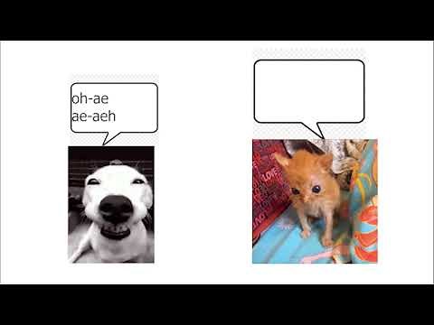 dont go to sleep meme (FULL SONG) [ENHANCED 1080P VERSION]