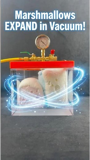 2 Marshmallows EXPAND in Vacuum!