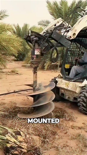 The Machine That Plants Thousands of Trees