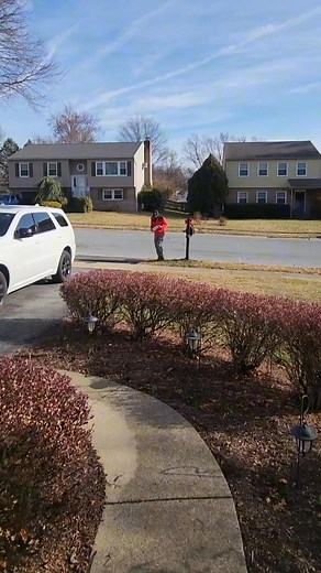 Nuevo Programa para las Tarjetas. Click en el link de la descripción. | Forward for America