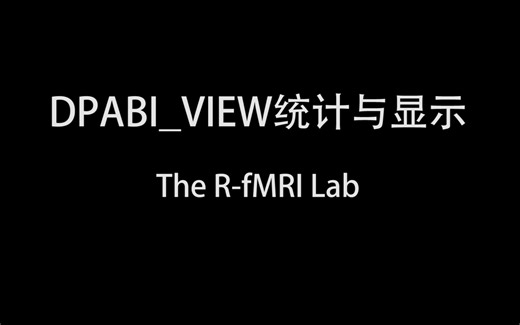 DPABI体空间质控、统计、多重比较校正与显示