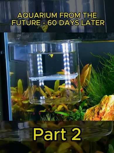 Grant Hilbert on TikTok