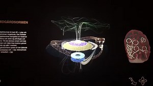 7.1K views · 351 reactions | This amazing interactive map of Viking...