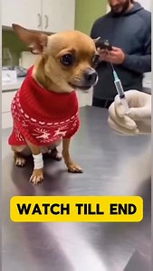 SEEING LISZT FEUX FOLLETS FOR THE FIRST TIME 🤣 #gopracticemusic #piano #performence #liszt | Sebastien Dupuis