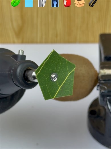 Mini Grinder Cuts a Kiwi: Satisfying ASMR Experiment