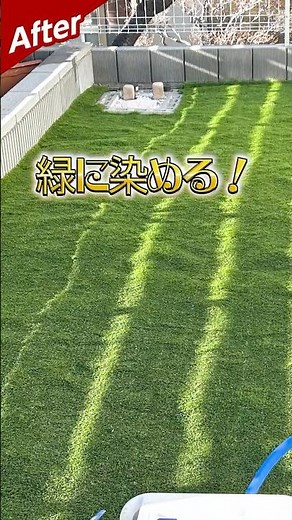 【後編】砂利な庭、緑に生まれ変わる #人工芝 #庭 #砂利 #施工