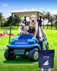 47 reactions · 11 shares | $5 off Fromm Coupon. Wholesome ingredients like chicken, oats, barley, and eggs prepared at our family owned-and-operated facility for 5 generations. https://frommfamily.com/offer/F2102 | Fromm Family Foods | Facebook