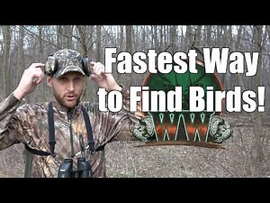 How to QUICKLY Find and Pattern Turkeys | Turkey Hunting