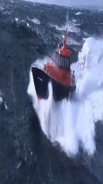 Ocean Videos