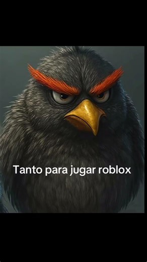 más que amigos friends #python #memes #informatica #softwarearchitect #sistemas #java #programacion