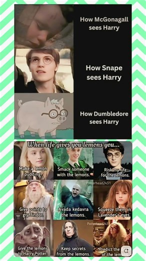 Everyone sees Harry differently…and Dumbledore is playing 4D chess💀#HarryPotter #Hogwart #Potterhead