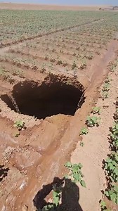 798K views · 1.6K reactions | Akçakale ilçesinde bir pamuk tarlasında obruk oluştu. Görenler hayrete düşürdü. | Şanlıurfa Haberleri | Facebook