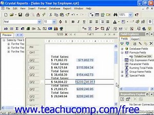 Crystal Reports Tutorial Using & Displaying Variables Business Objects Training Lesson 14.3