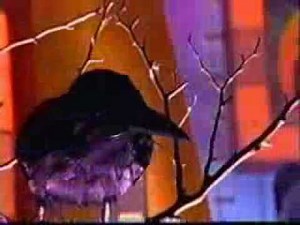 Family Feud (Halloween 2002): Part 1