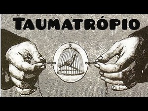 Taumatrópio - construção de brinquedo óptico