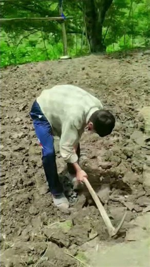 #funny #viral #trending #ytshorts
