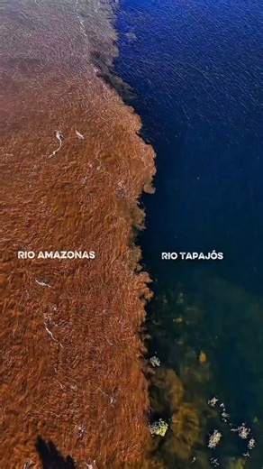 "From the heights of the Pearl of Tapajós, this drone records the impressive meeting of the waters of the Amazon and the Tapajós rivers, which flow side by side without mixing." 💚 . #amazonia #amazonas #tapajos #pará #protecttheamazon 🎥: elderstefanno @sos.tapajos Text: Gcissaloyola | We Are Guardians Film