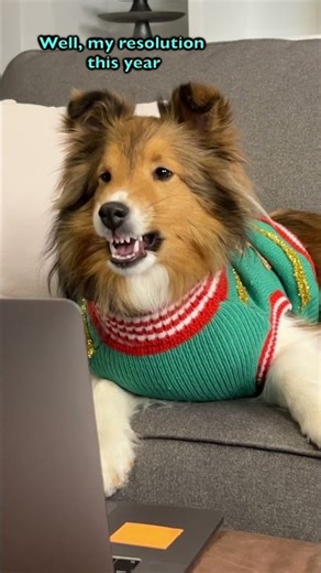 Biscuit has quite the resolution! e606-3