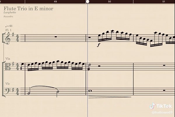 #staffpad #classical #neoclassical #composition #classicalmusic #strings #flute