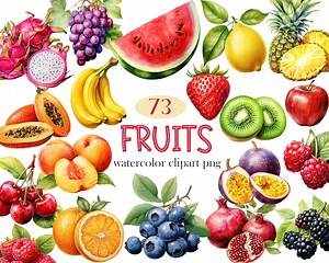 Fruit Clipart, Watercolor Fruits PNG Bundle, Fruit Sublimation, Apple, Banana, Avocado, Watermelon, Strawberry, Digital Download - Etsy
