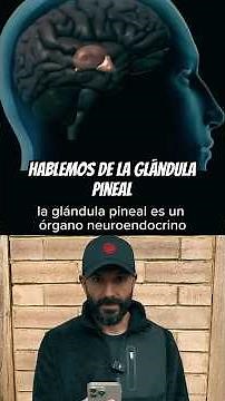 Tu cerebro produce la misma droga que experimentás en un sueño lúcido.