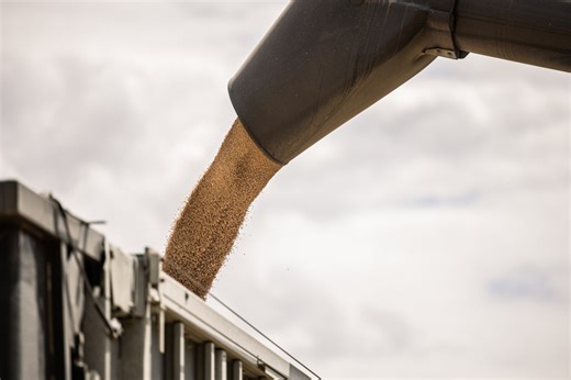 Kansas wheat harvest moves forward despite setbacks