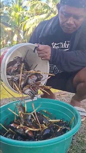 Pouring an ENTIRE Bucket of Live Crabs! 🌊