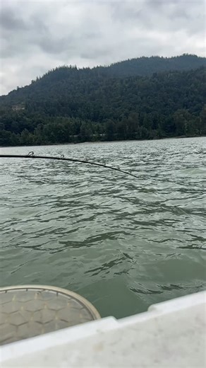 Predicting huge bites in 2026 ‼️🎣 We can’t wait to experience this again, the bites are unreal and simply too fun to miss. Secure your 2026 dates early before your preferred spots fill up. #fraserriver #sturgeonfishing #fishingcharter #bucketlist #bookwithus | Lang's Fishing Adventures