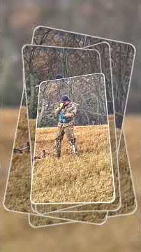 Join Scotlands Oldest Digs www.toddysdigs.com/forum#minelab #metaldetecting