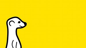 Meerkat continues to fight for live-streaming ubiquity, releases an embeddable player