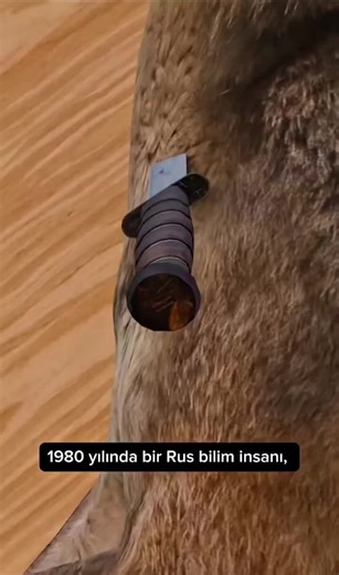 The Intersection of Art, Technology, Philosophy, Science, and History