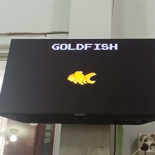 Pets The kids Picture show