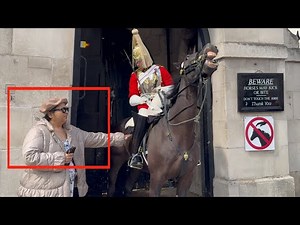 Finally Guard Took Firm Actions! Don’t Touch My Horse GO READ THE SIGNS