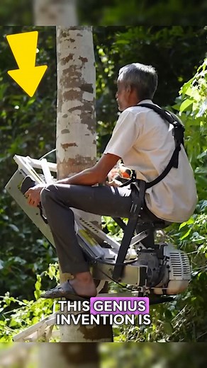 5.7K views · 24 reactions | Climb Trees Easily With This Machine ...