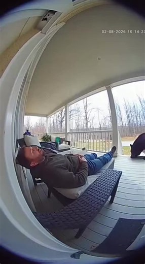 A man peacefully sleeping on his porch gets the surprise of a lifetime when a curious black bear starts sniffing him. The moment he wakes up and realizes what's happening, the startled bear bolts away into the night!
