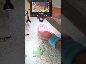 1000 X Digital Microscope By TOMLOV