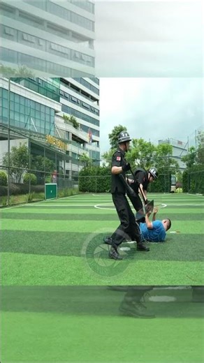 China's Robot police Are Using Net Guns