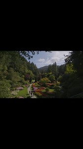 Summer has officially arrived, and we’re thrilled to bring you the wonders of the season! From stunning days filled with countless blooms to magical nights illuminated and filled with the sounds of summer, let the beauty of The Gardens carry you away. Check out our website for all the exciting details on our summer offerings! #butchartinseason #butchartgardens #summergarden #fireworks #outdoorconcerts #nightilluminations #flowers | The Butchart Gardens