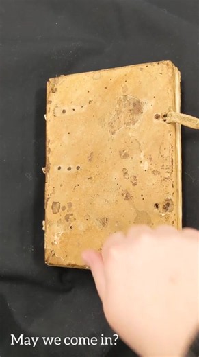 14th Century Italian Manuscript: LJS 361