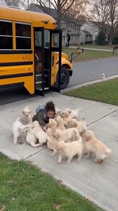 This is the warmest welcome any kid could ever get 😍 | Evan Era