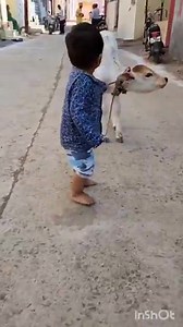 9K views · 239 reactions | He is Allah, there is no god except Him....