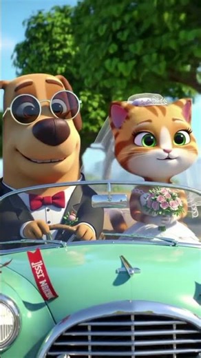 Realistic Dog Driving With Cat Bride | Stunning Animal Wedding Scene"#AnimalCouple #WeddingAnimals