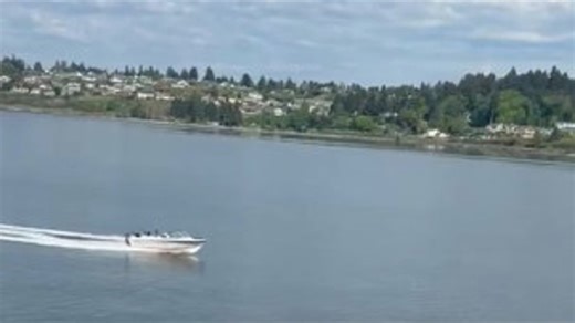 Man arrested for DUI after boat crash in Steilacoom