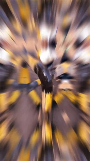 2.9K views | Fast-Acting Paint Remover #shorts This video shows a fast-acting paint remover. When applied to old paint, it causes the surface to bubble and wrinkle quickly. The paint softens and breaks down, forming a thin film that can be easily scraped off within seconds. For educational and informational purposes only. | All in | Facebook