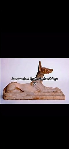 Dogs depiction comparison, ancient Egypt vs medieval era #history
