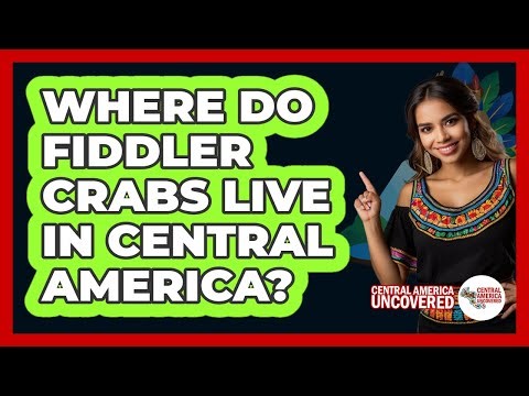 Where Do Fiddler Crabs Live In Central America?