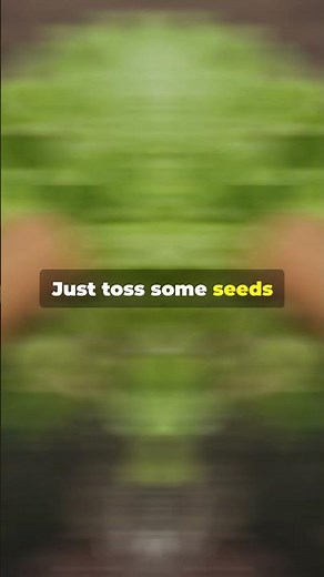 Spring's Easiest Veggies to Grow!