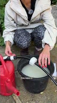 Stop Slugs with nematode treatment #garden#gardening#gardeningtips #shorts