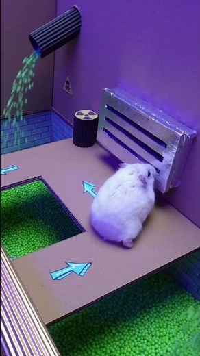 Hamster Escapes Prison Maze: The Great Escape with Fly 🪰🐹