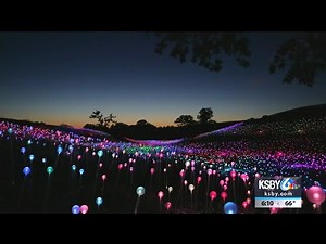 Sensorio light display to open this month in Paso Robles